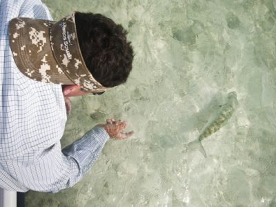 Bonefish release by Louis Cahill Photography