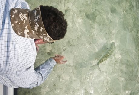 Bonefish release by Louis Cahill Photography