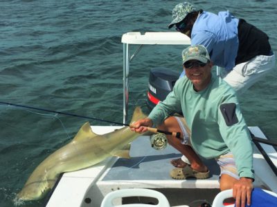 Fly fishing for lemon sharks.