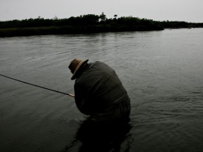 Fighting king salmon by Brian Niska.