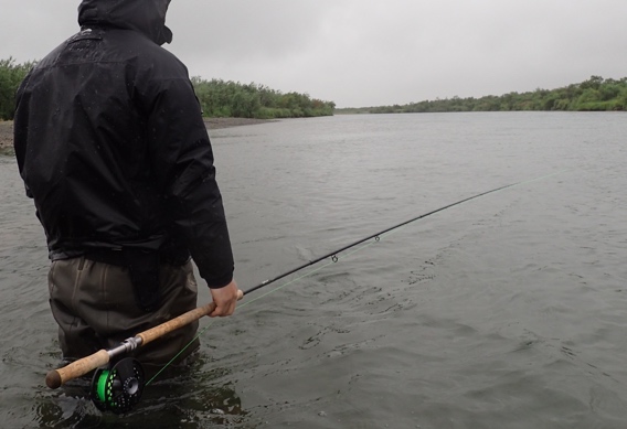 Holding the rod while swinging flies with a spey rod.