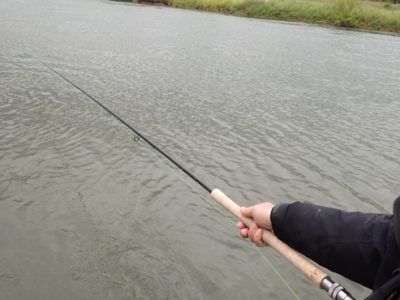 Holding the rod while swinging flies with a spey rod.