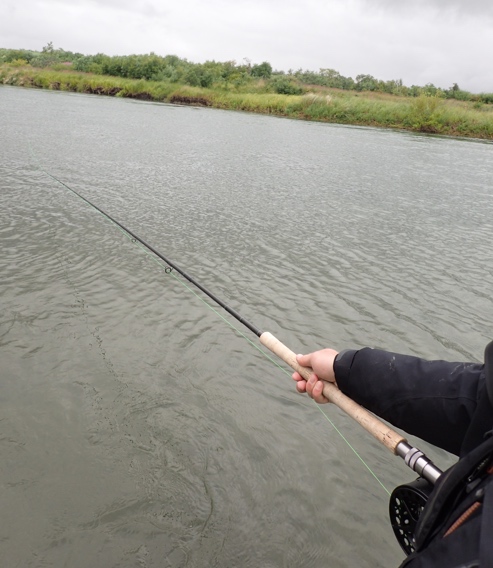Holding the rod while swinging flies with a spey rod.