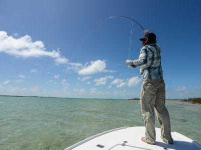 Fighting bonefish by Flip McCririck