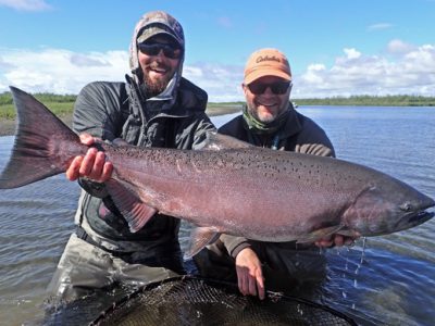 Huge king salmon caught at Alaska West.