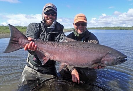 Huge king salmon caught at Alaska West.