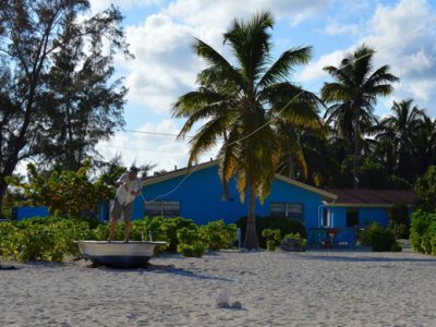 Bonefish school at Andros South.