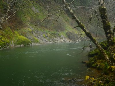 Fly fishing for steelhead by Nick Chambers.