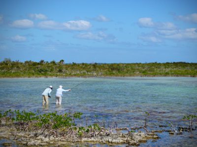 Wading for bonefish at Andros South.