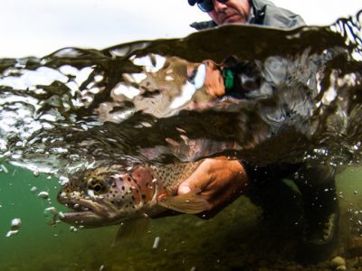 Fly fishing for rainbow trout at Alaska West by Tosh Brown.