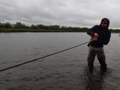 Fighting king salmon at Alaska West
