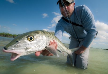 South Andros Bonefish by Louis Cahill Photography