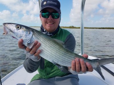 Big bonefish from Andros South