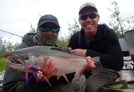 Silver salmon at Alaska West