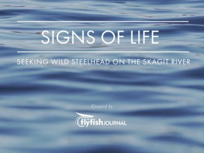 The Flyfish Journal 