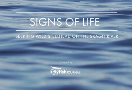 The Flyfish Journal "Signs of Life" Skagit River steelhead essay