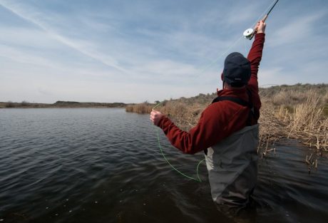 Fly fishing on lakes tips