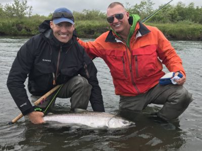 Chrome bright king salmon