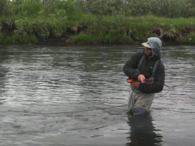 Pulsing the rod while swinging flies for salmon and steelhead