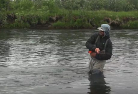 Pulsing the rod while swinging flies for salmon and steelhead
