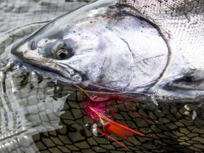 Greg Houska's kriller fly pattern for steelhead and salmon