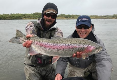 Big leopard rainbow trout from Alaska West