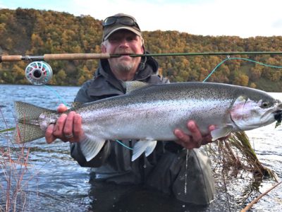 Big Naknek rainbow trout