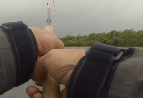 King salmon tugs video