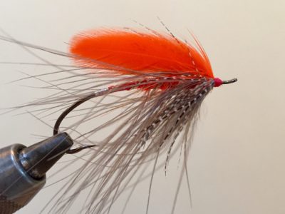 Tying colored heads on flies