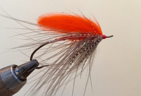 Tying colored heads on flies