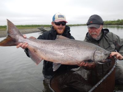 Big king salmon on spey rod at Alaska West
