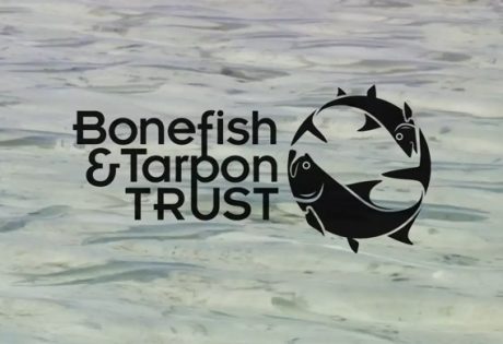 Bonefish and Tarpon Trust bonefish handling practices video