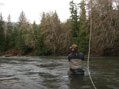 Downstream perry poke