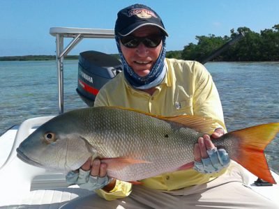 Big mutton snapper from Andros South