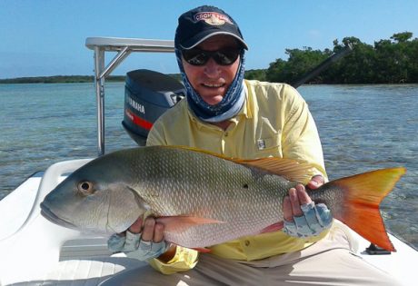 Big mutton snapper from Andros South