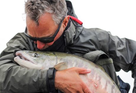 Angler kissing chum salmon