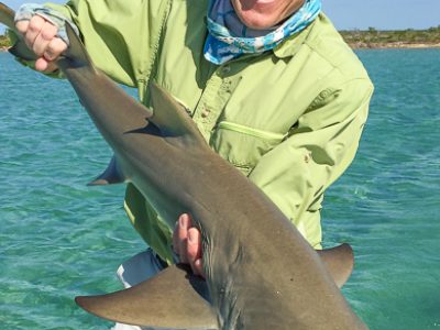 Fly fishing for lemon sharks at Andros South