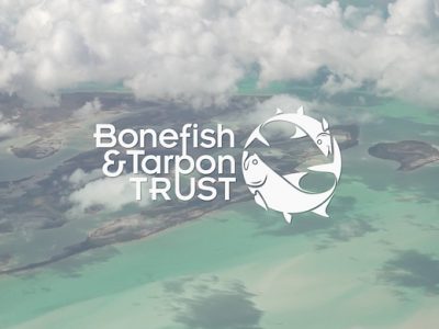BTT on Bahamian Bonefish Habitat