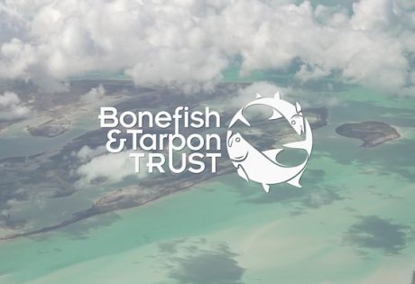 BTT on Bahamian Bonefish Habitat