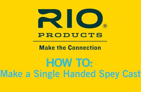 How to make a single hand spey cast video from Rio