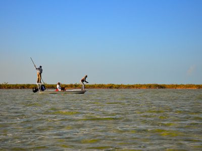 Bonefish ready position
