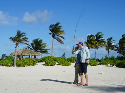 Presenting the fly on the backcast