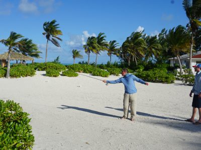 better backcast presentations - part 3- haul big