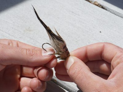 Testing how sharp your hook is