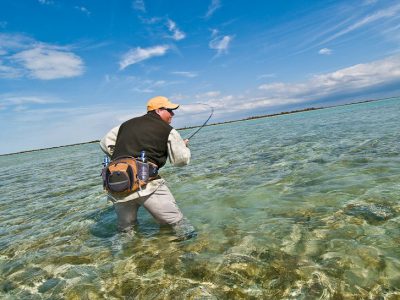 Presenting the fly on the backcast