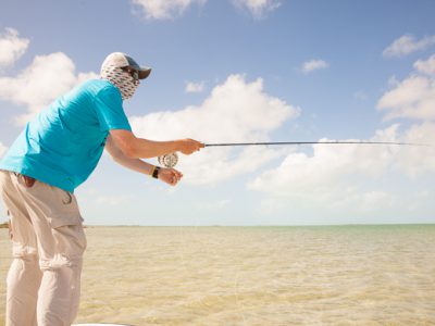 better backcast presentations - part 5- forgotten fundamentals