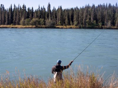 Aerial mending while spey casting