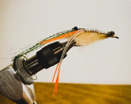 Chewy's Halo Shrimp Fly