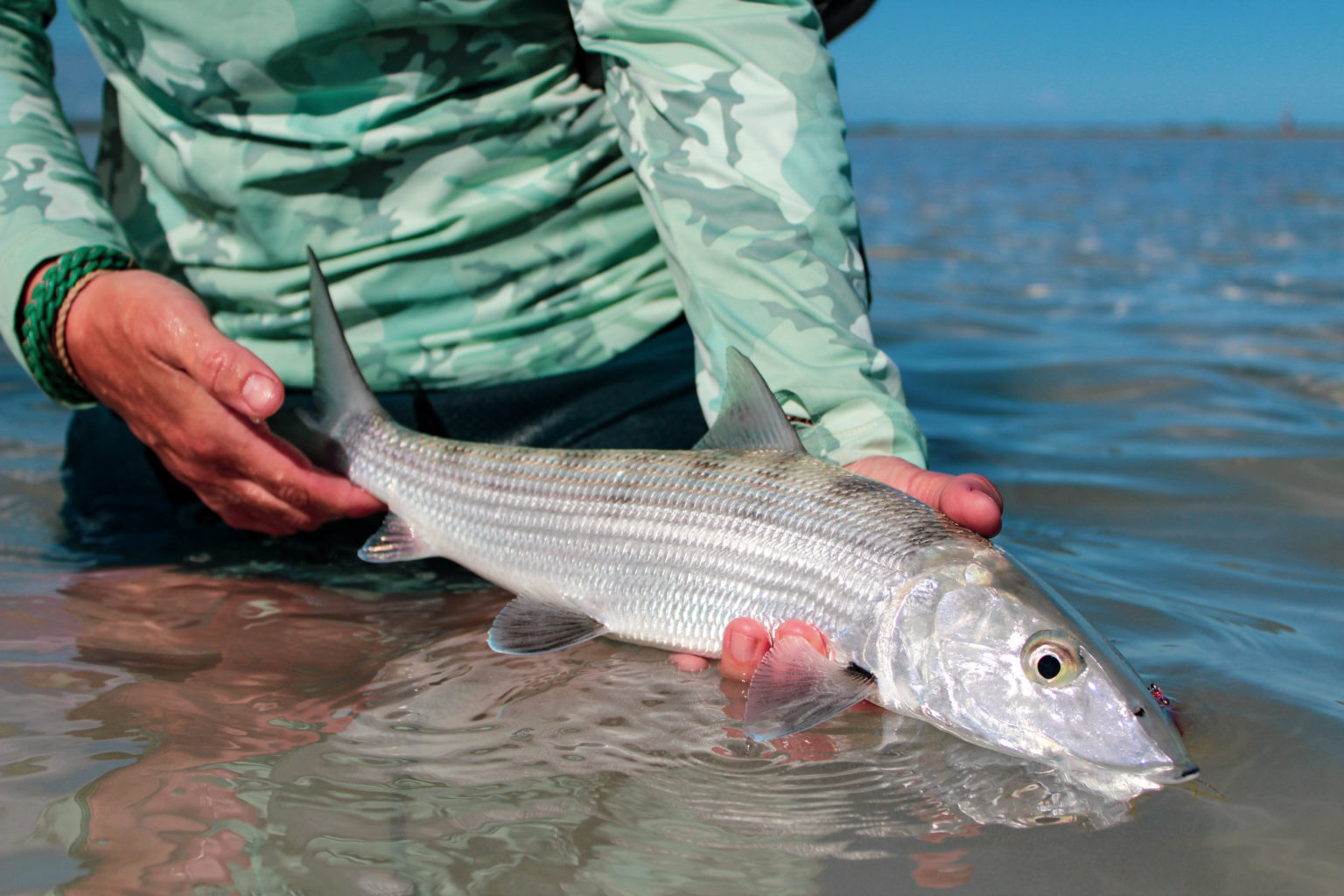 The Bonefish Capital of the World: 2021/2022 Bookings