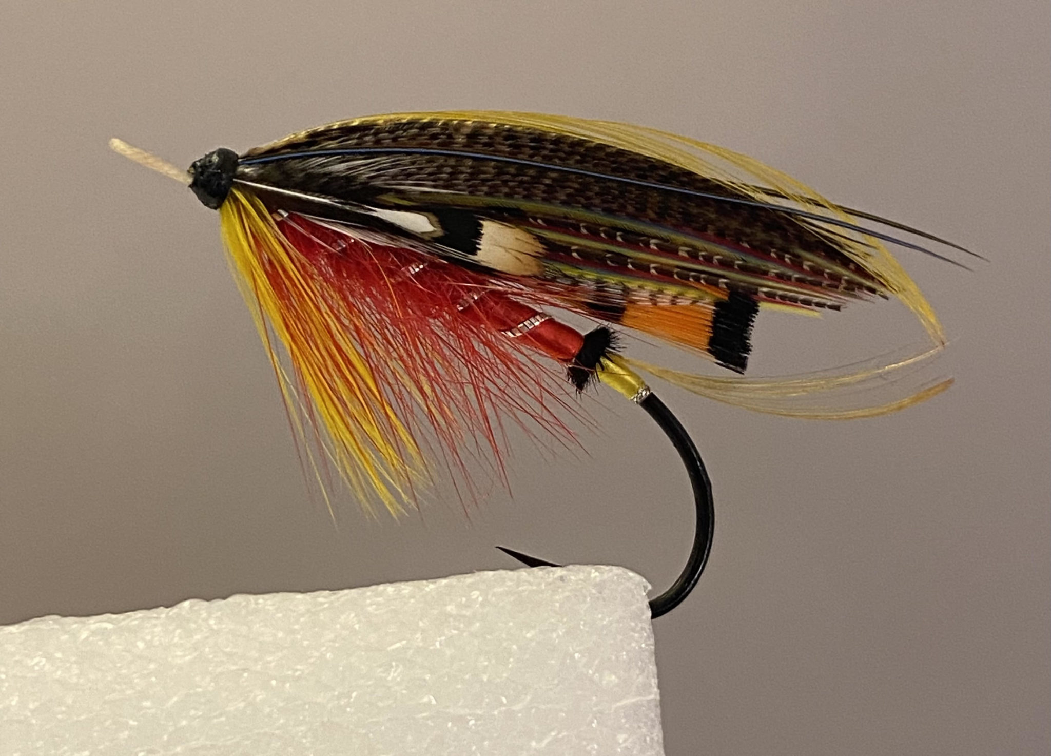 Fly Tying: Classic Fly Series – The Kate, Part 1